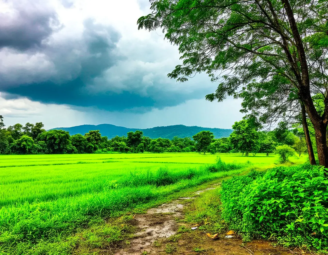 Post-rain clarity with fresh greens and open skies